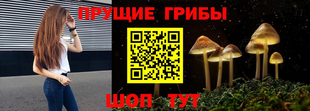 Галлюциногенные грибы MAGIC MUSHROOMS  Вход с VPN  Хасавюрт  Псилоцибиновые грибы MAGIC MUSHROOMS 