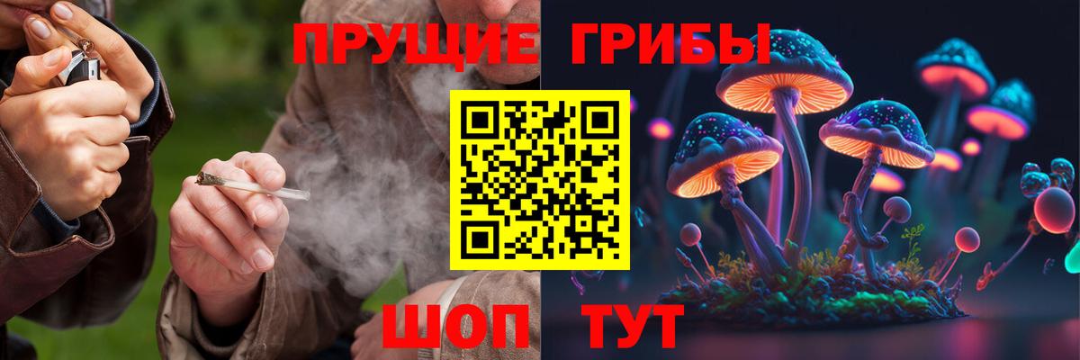 Псилоцибиновые грибы Cubensis Хасавюрт