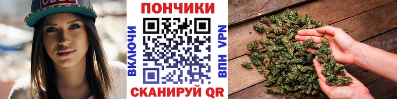 цена наркотик  omg как зайти  Бошки марихуана ГИДРОПОН  Хасавюрт 